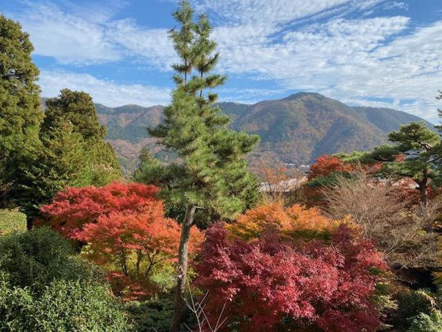 Hotel Marroad Hakone Exterior photo